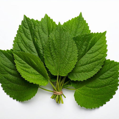 Patchouli essential oil solid perfume by Melodie Perfumes.