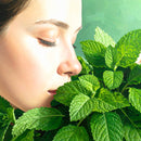 Patchouli essential oil solid perfume by Melodie Perfumes.