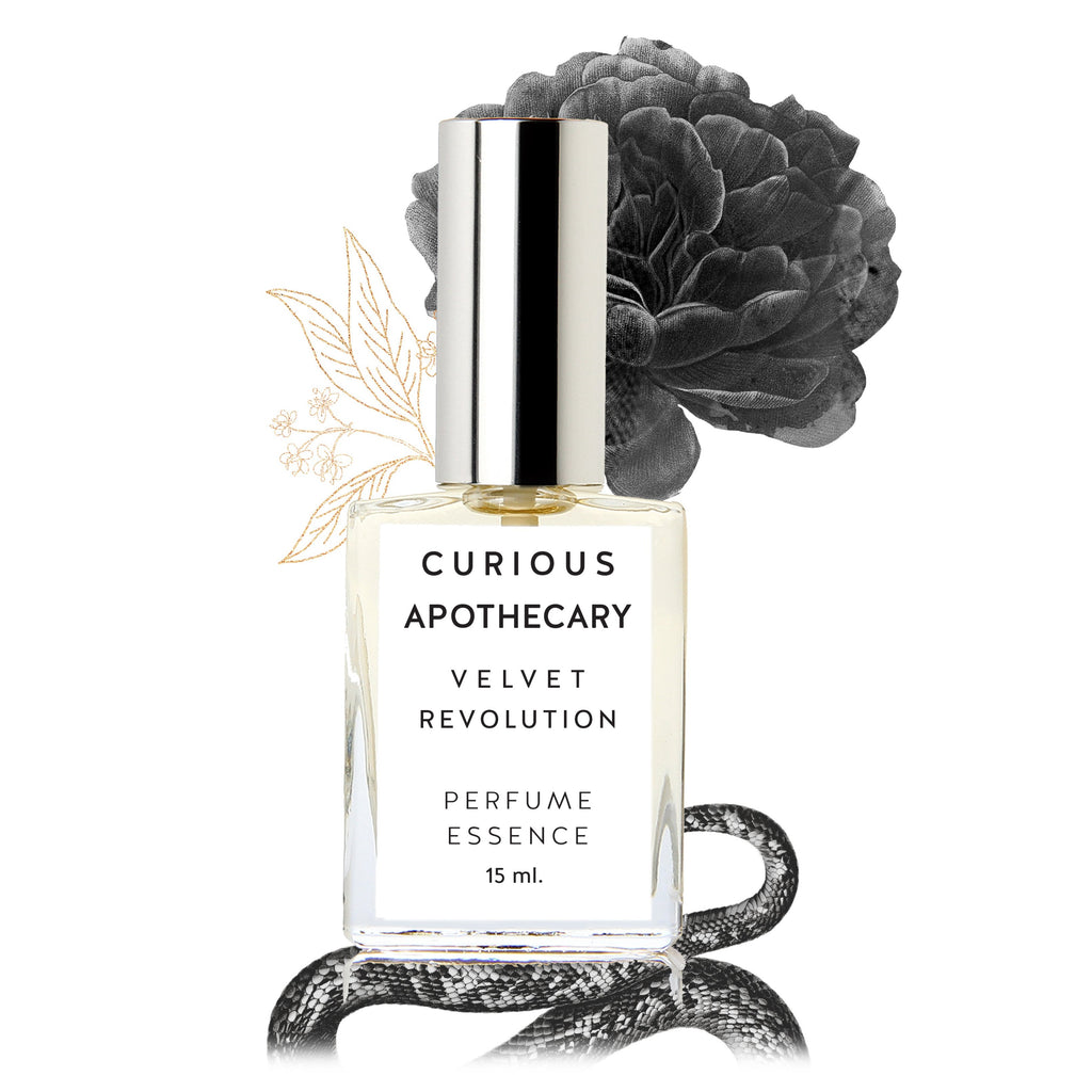 Curious Apothecary Velvet Revolution perfume. Tuberose floral