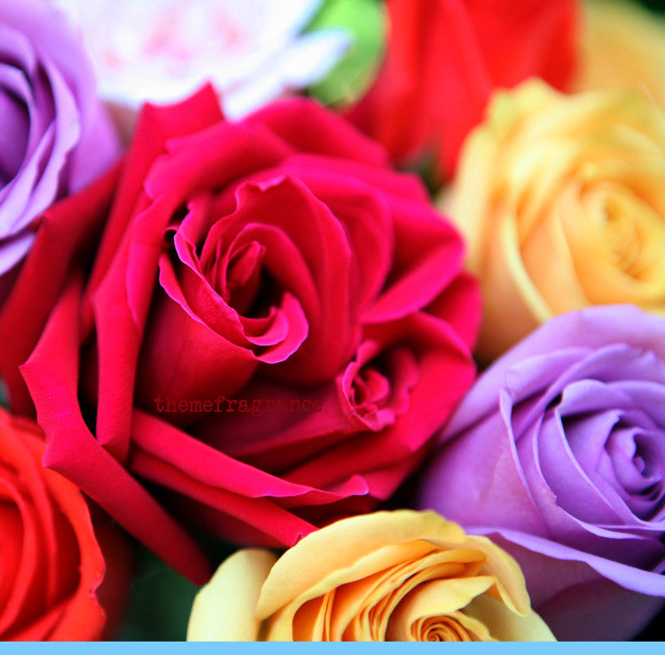 Bows and Eros™ perfume spray. Art house Rose by Curious Apothecary